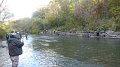 Crowded with fishermen